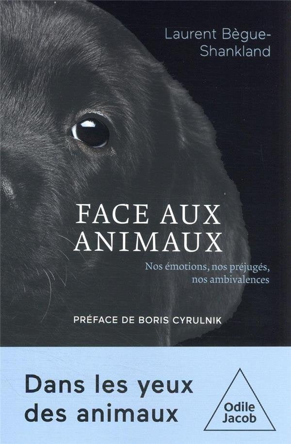 Face aux animaux