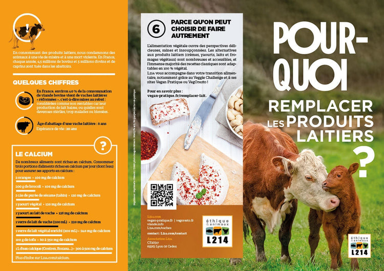 Tract "Pourquoi remplacer les produits laitiers ?"