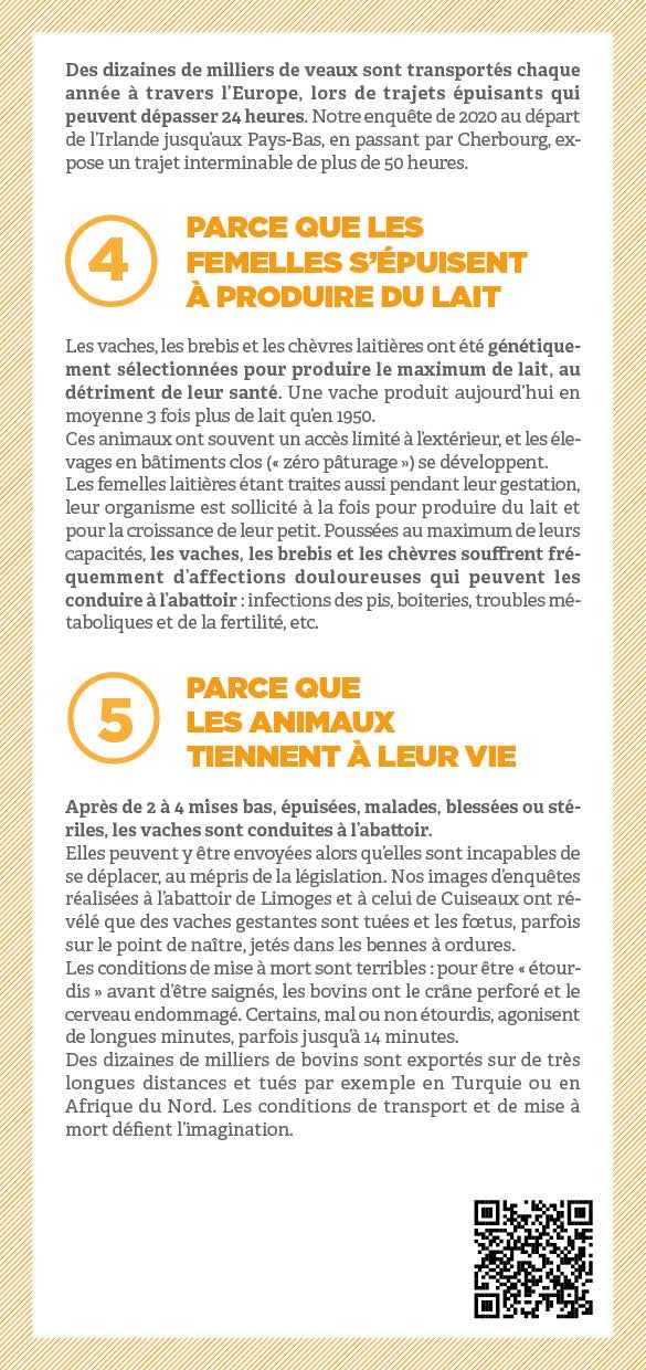 Tract "Pourquoi remplacer les produits laitiers ?"