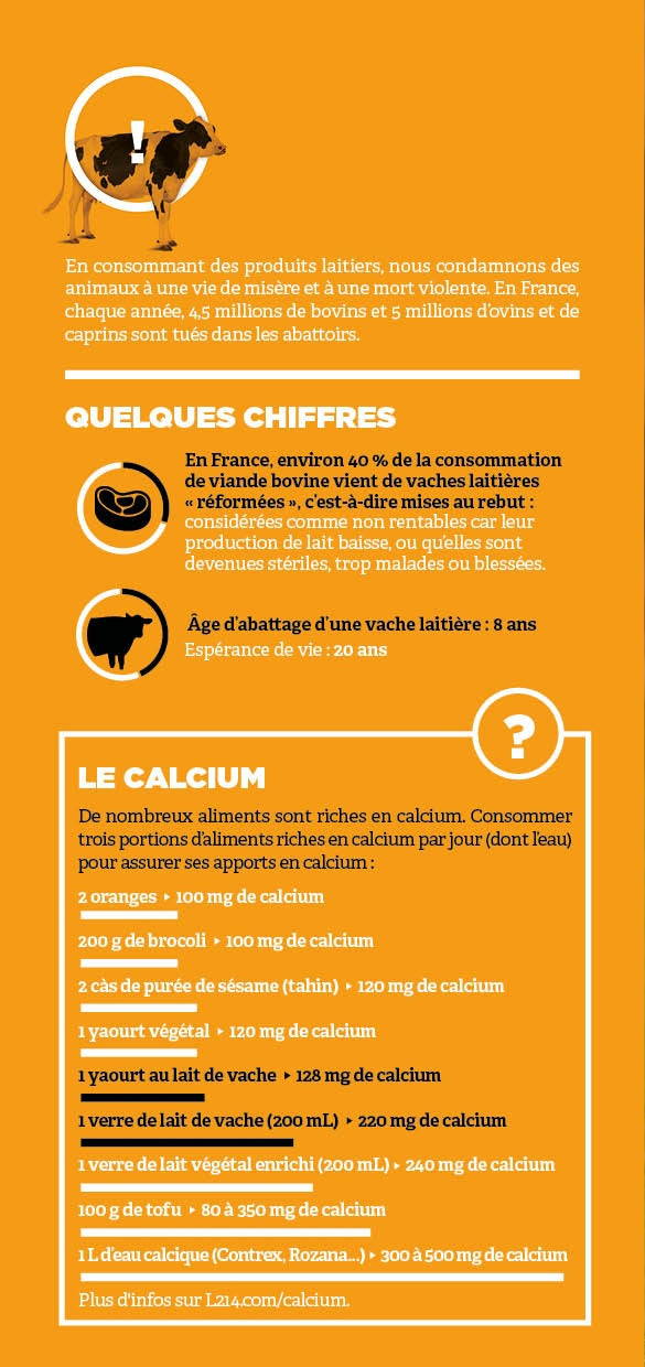 Tract "Pourquoi remplacer les produits laitiers ?"