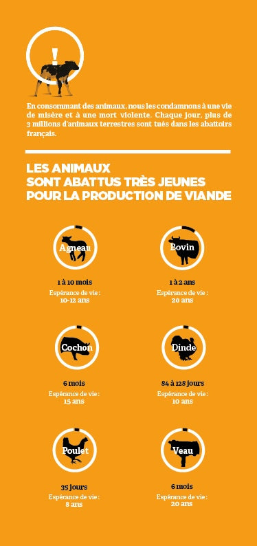 Tract "Pourquoi remplacer la viande ?"