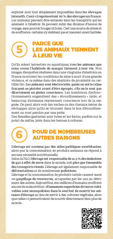 Tract "Pourquoi remplacer la viande ?"