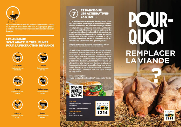 Tract "Pourquoi remplacer la viande ?"