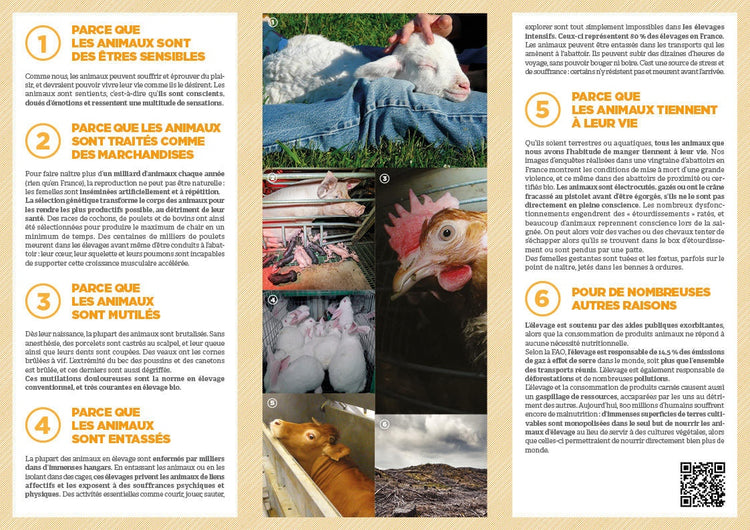 Tract "Pourquoi remplacer la viande ?"