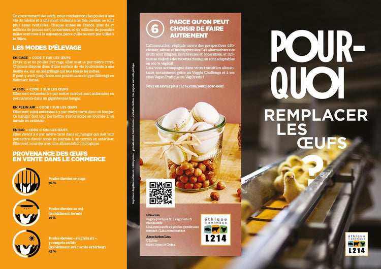 Tract "Pourquoi remplacer les œufs ?"