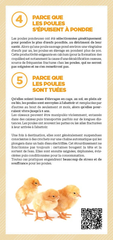 Tract "Pourquoi remplacer les œufs ?"