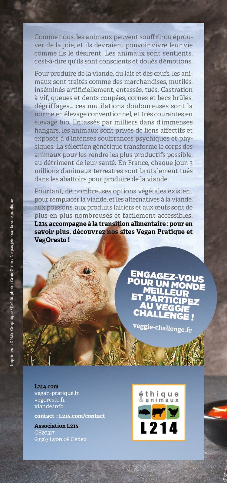 Comment remplacer la viande ?