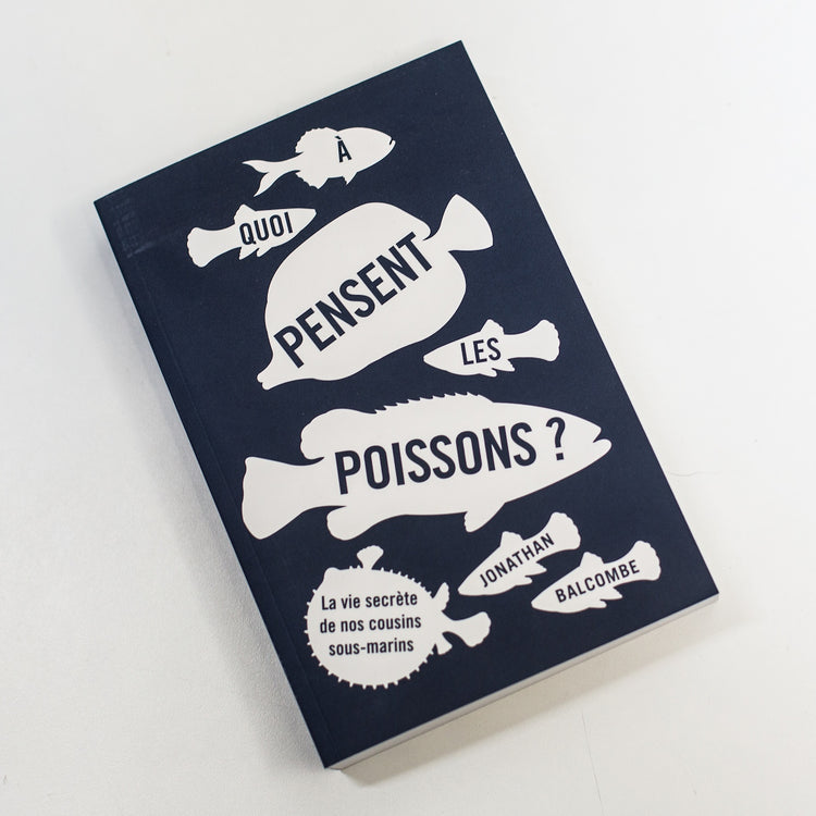 À quoi pensent les poissons