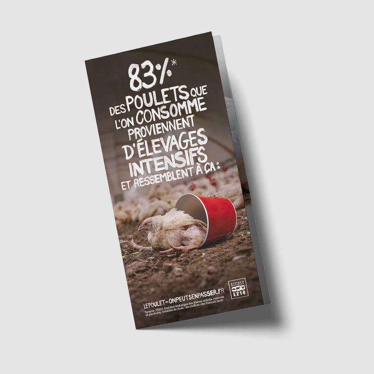 Tract "Pourquoi s&