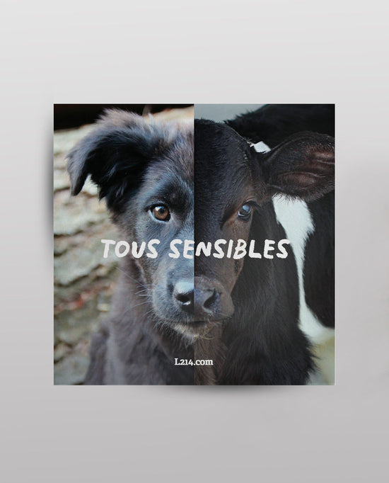 Sticker “Tous sensibles_portrait”