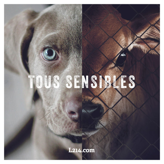 Sticker "Tous sensibles_portrait grillage"