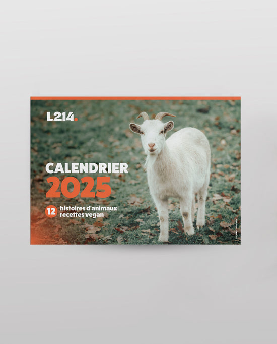 Calendrier 2025 aux couleurs de L214