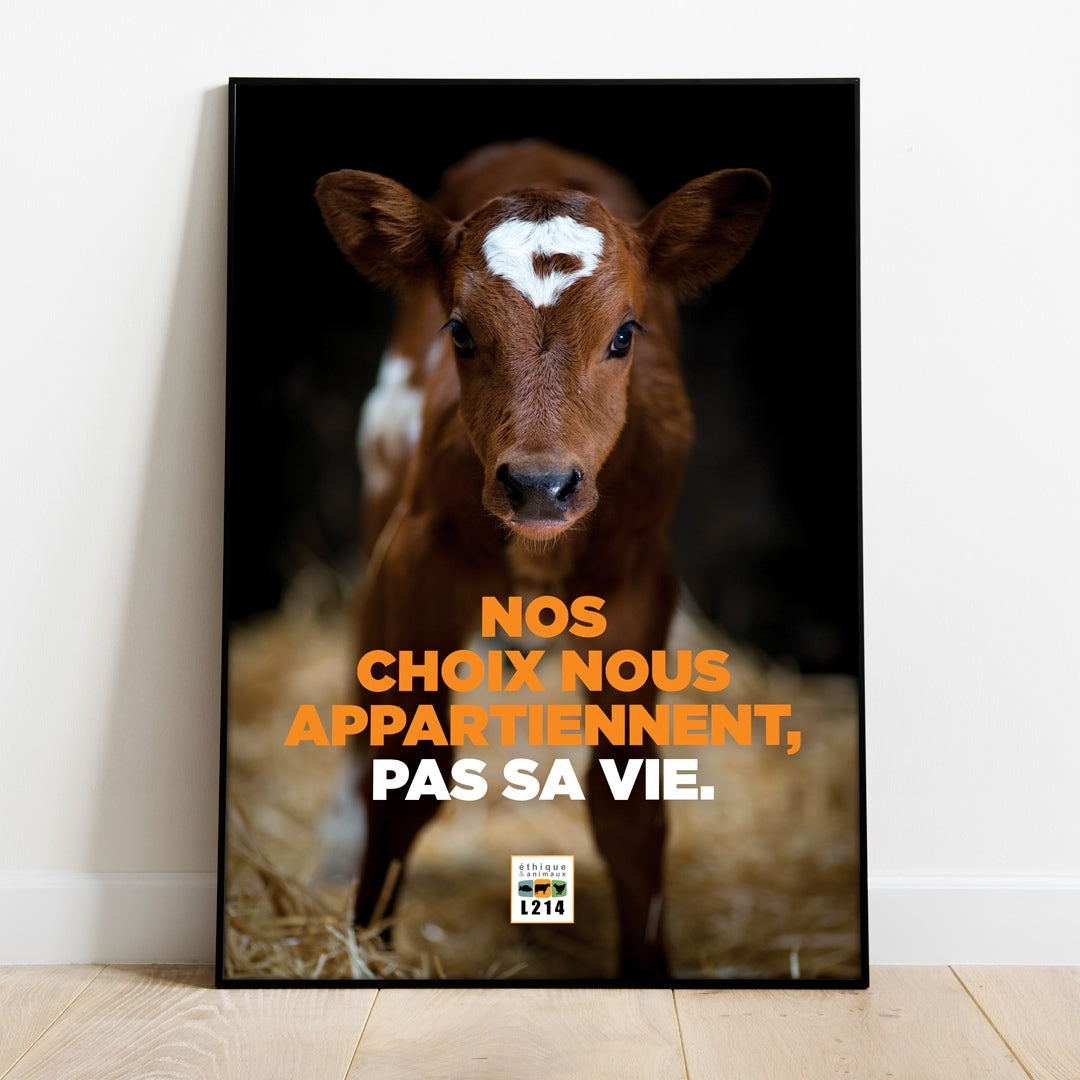 Poster "Nos choix"