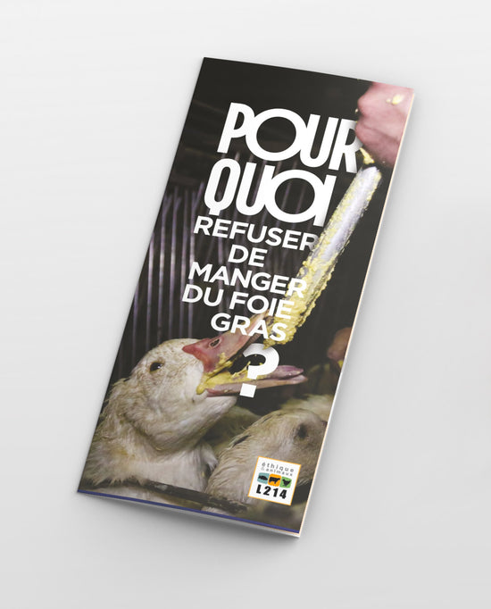 Tract "Pourquoi refuser de manger du foie gras ?"