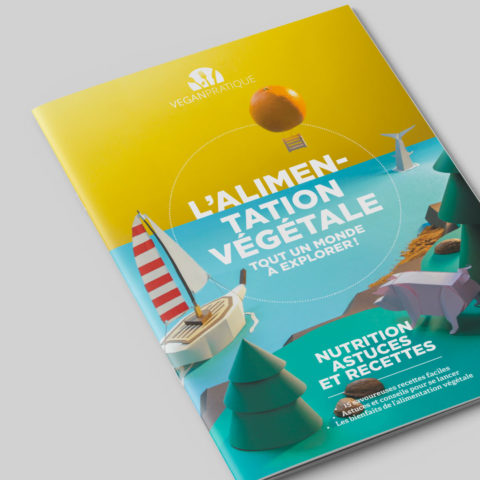 Brochure L'Alimentation végétale, tout un monde à explorer !