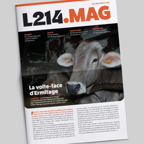 L214 Mag 44