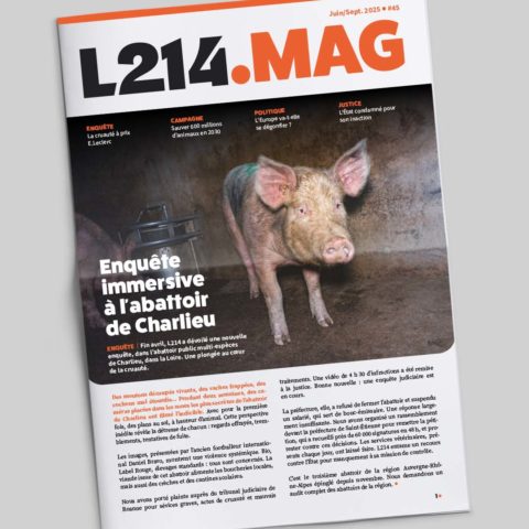 L214 Mag 45