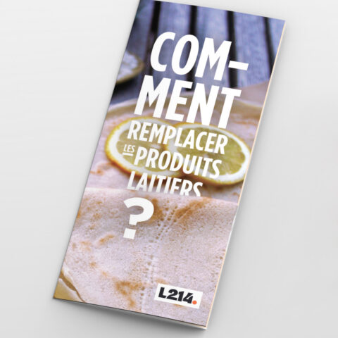 Tract « Comment remplacer les produits laitiers ? »