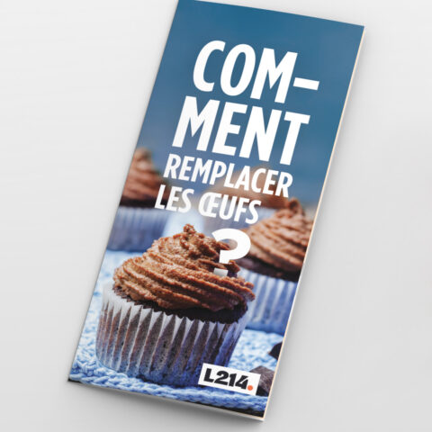 Tract « Pourquoi remplacer les œufs ? »