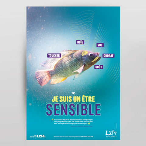 Poster « Être sensible » - Poisson