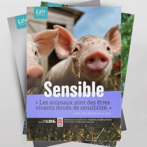 Série de 6 posters « Sensible »