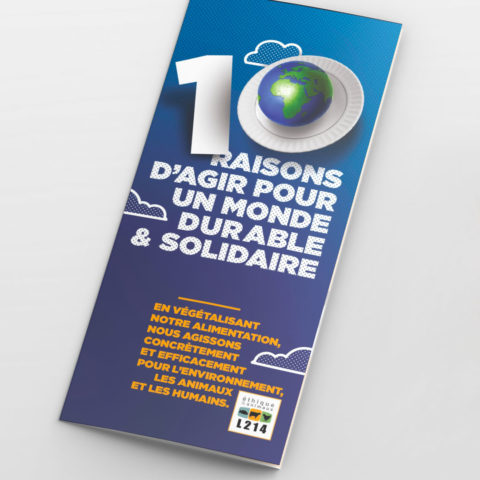 Tract « 10 raisons d'agir pour un monde durable et solidaire »