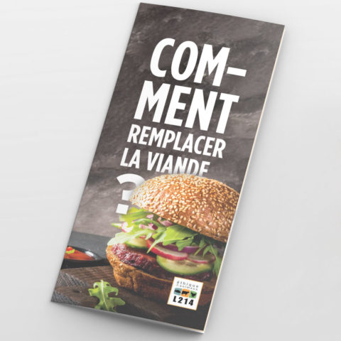 Tract « Comment remplacer la viande ? »