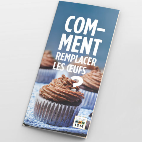 Tract « Comment remplacer les œufs ? »