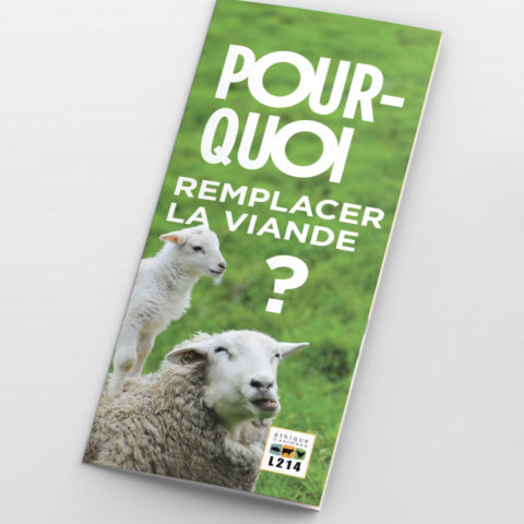 Tract « Pourquoi remplacer la viande ? »