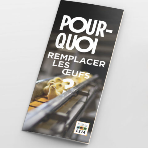 Tract « Pourquoi remplacer les œufs ? »