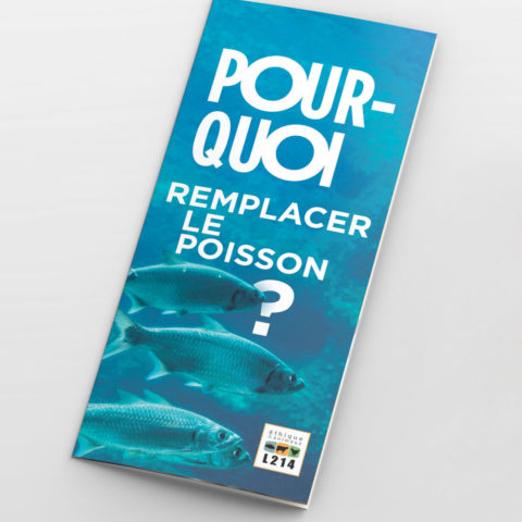 Tract « Pourquoi remplacer les poissons ? »