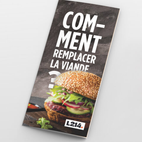 Tract « Comment remplacer la viande ? »