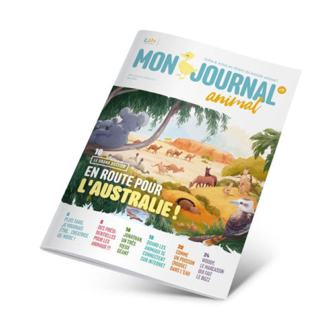 Mon journal animal n°11