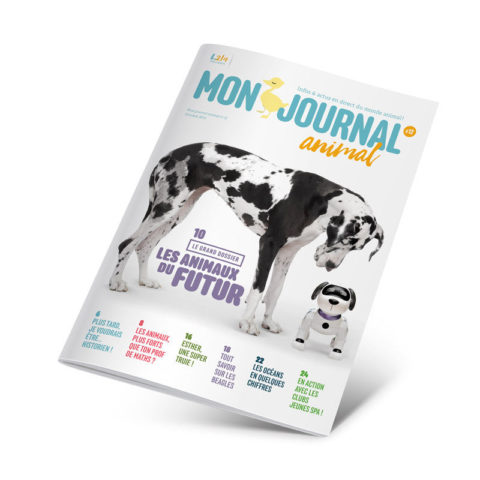 Mon journal animal n°12