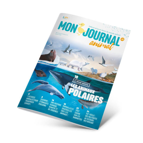 Mon journal animal n°13