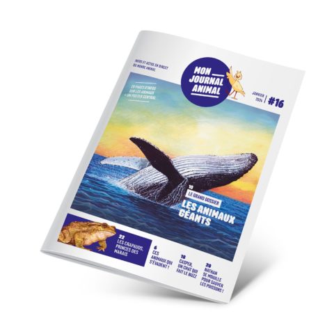 Mon journal animal n°16