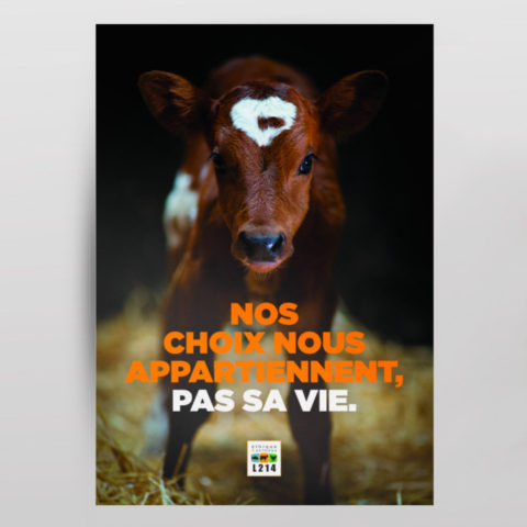 Poster « Nos choix »