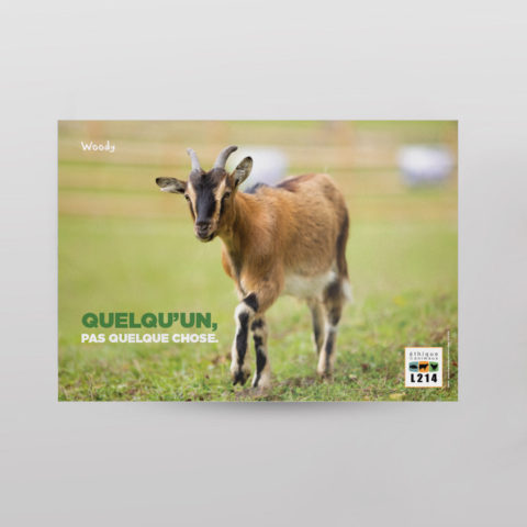 Poster « Quelqu'un »