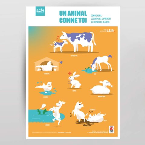 Poster « Un animal comme toi » 2025