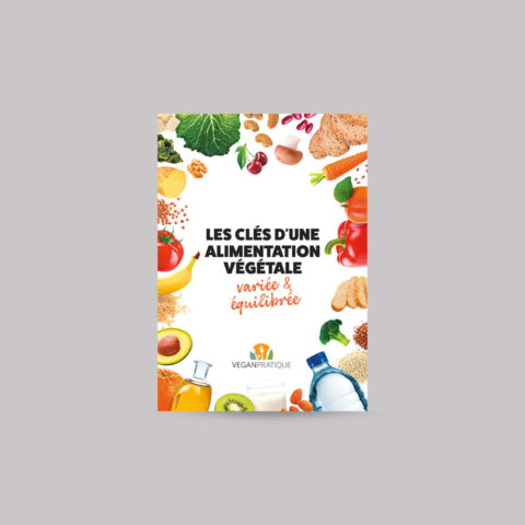Tableau nutritionnel : les clés d'une alimentation végétale variée et équilibrée