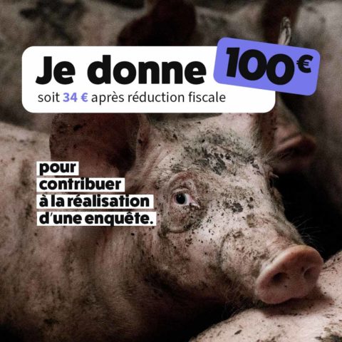 Avec 100 €, contribuez à la réalisation d’une enquête