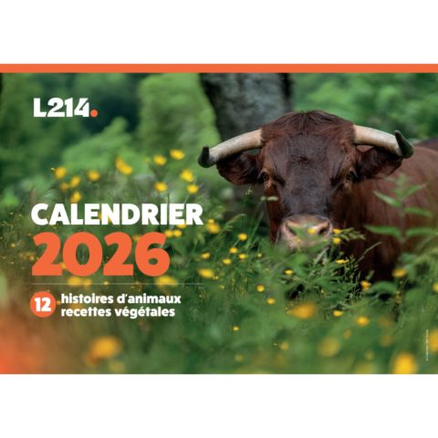 Calendrier 2026 – L214
