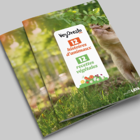 Carnet de notes – L214