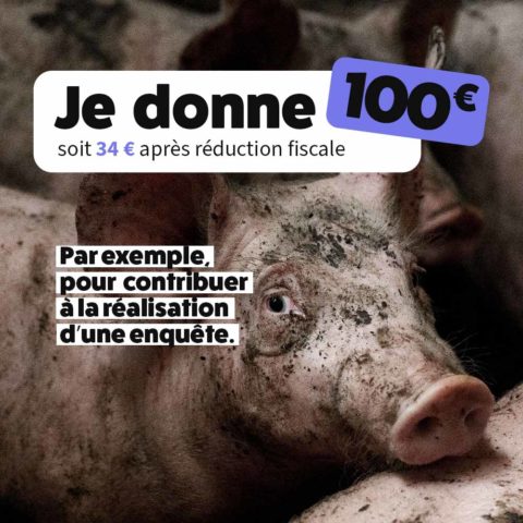 Avec 100 €, contribuez par exemple à la réalisation d’une enquête