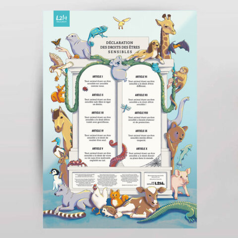 Poster « Déclaration des droits des êtres sensibles »