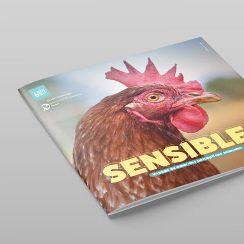 Livret « Sensibles » – L214