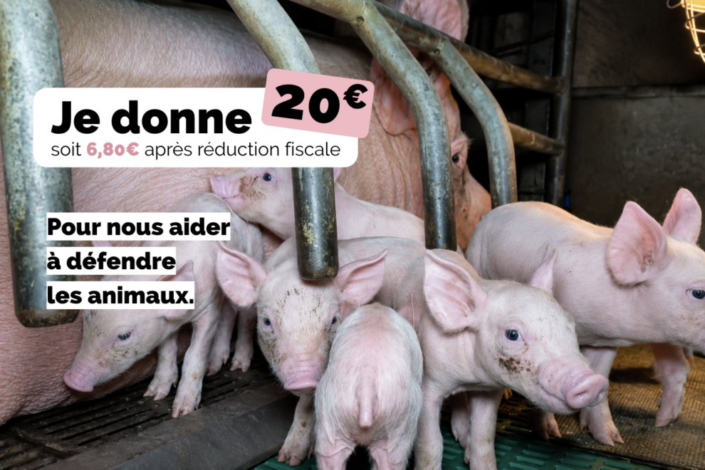Je soutiens, j’ajoute un don à ma commande