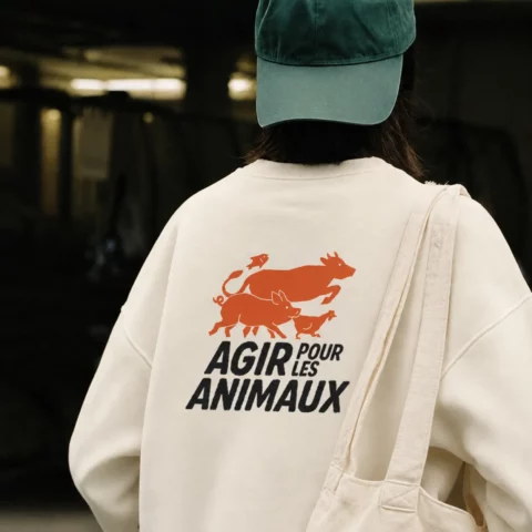 Sweat ivoire - Agir pour les animaux